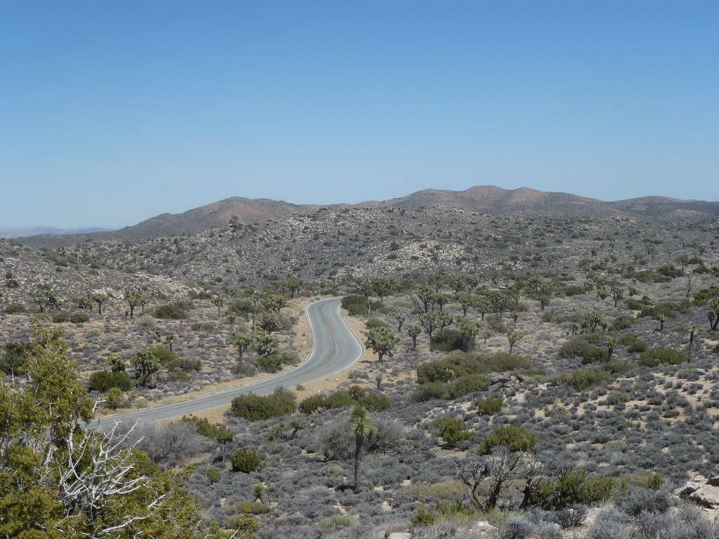Joshua Tree National Park